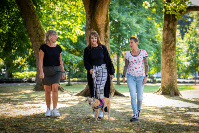 Wandelen